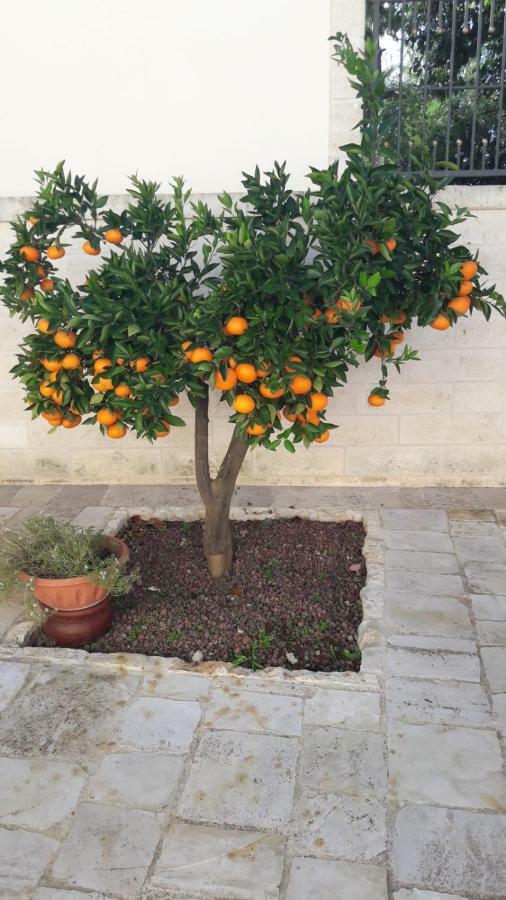 B&B Il Mulino Del Monastero Κονβερσάνο Εξωτερικό φωτογραφία